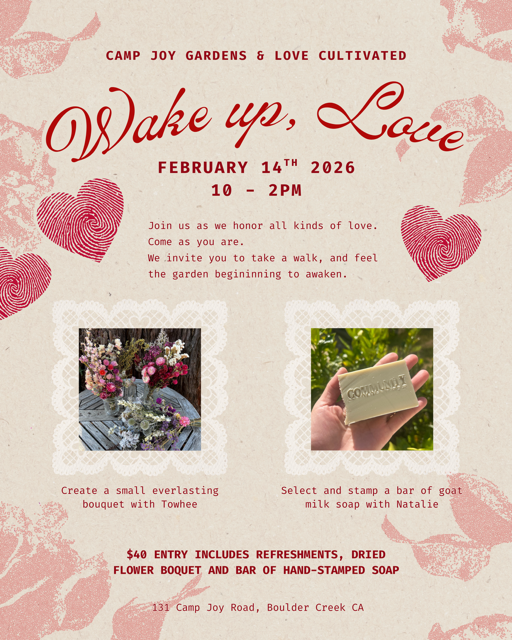 Wake Up, Love