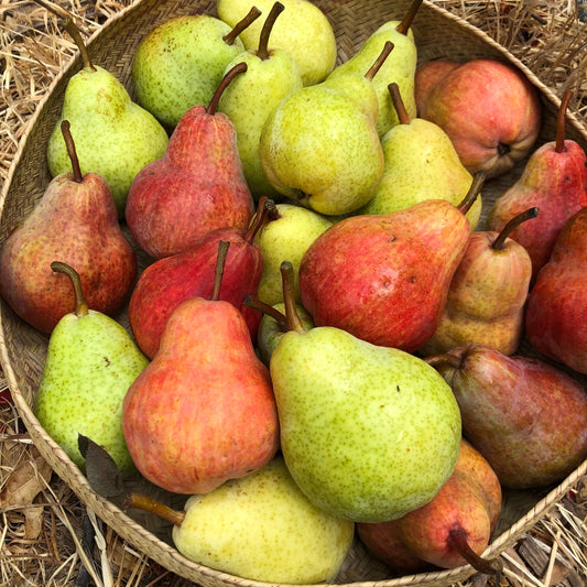 Pears (bulk)